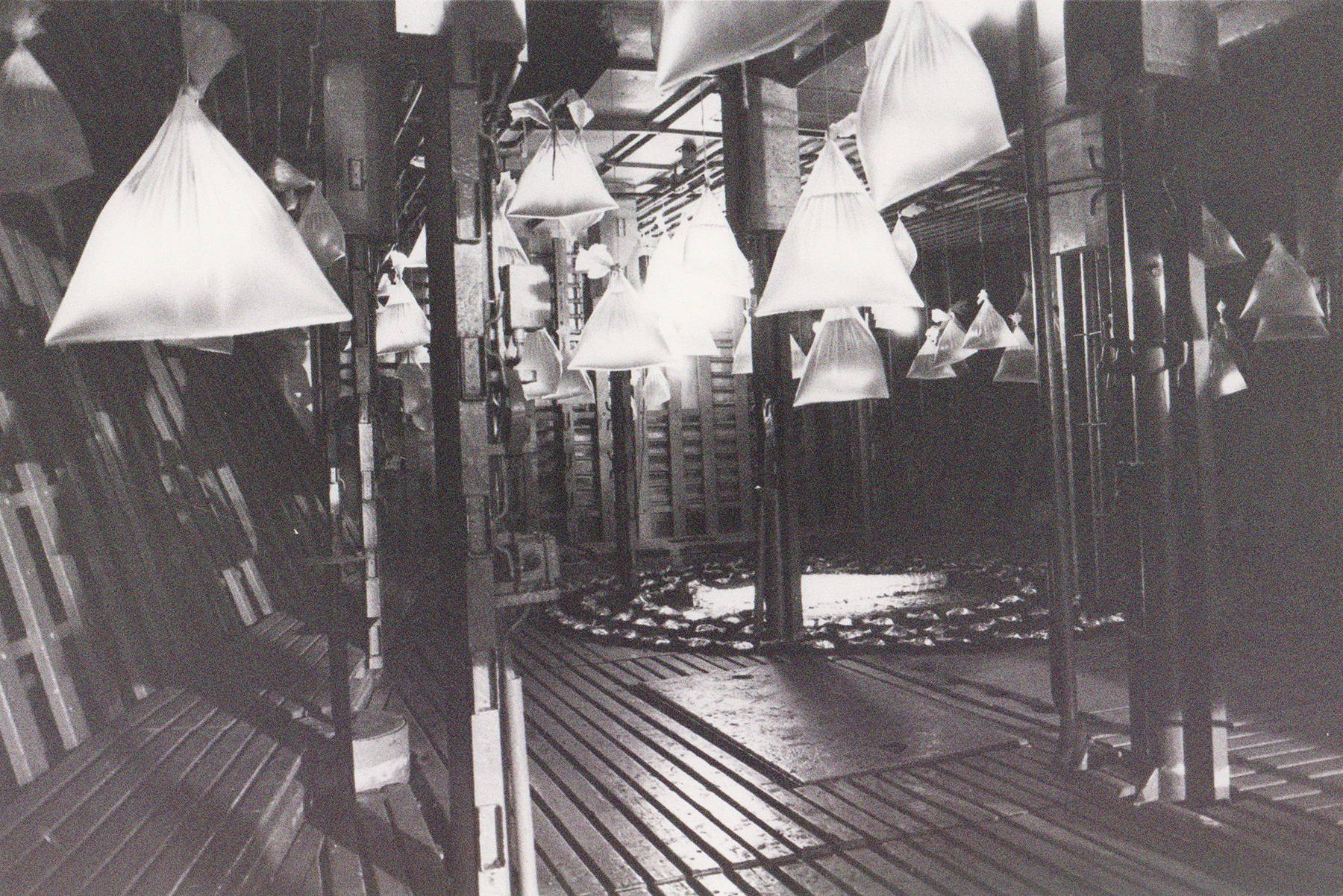 Eine Kunstinstallation mit wassergefüllten Tüten, die in Laderaum 1 von der Decke hängen.